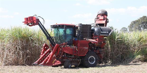 Better production year: Case IH's Austoft 9000 elevates sugarcane harvesting in Thailand